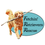 Fetchin' Retrievers Rescue Logo