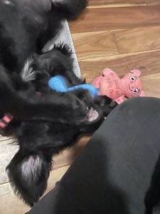 Mandy upside down with toy