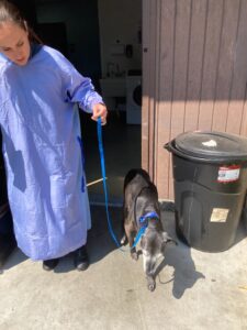 Maisie Exiting Urgent Care