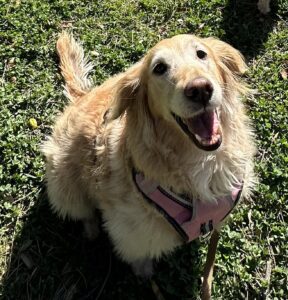 Happy Sophie