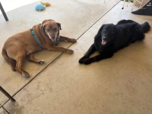 5 23 25 Ranger hangs with Lacey