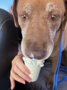 Ranger Puppuccino