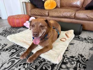 Ranger Post walk 5 10 25