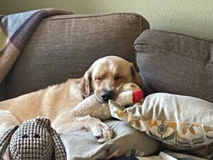 Winnie and Lamb Chop