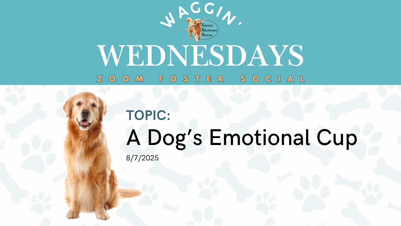 Episode 10: A Dog’s Emotional Cup