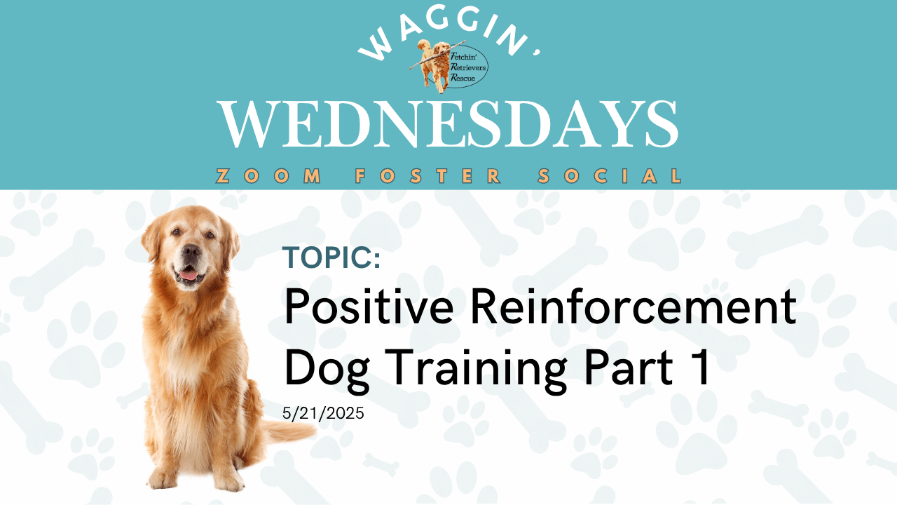 Episode 5: Positive Reinforcement Dog Training Part 1