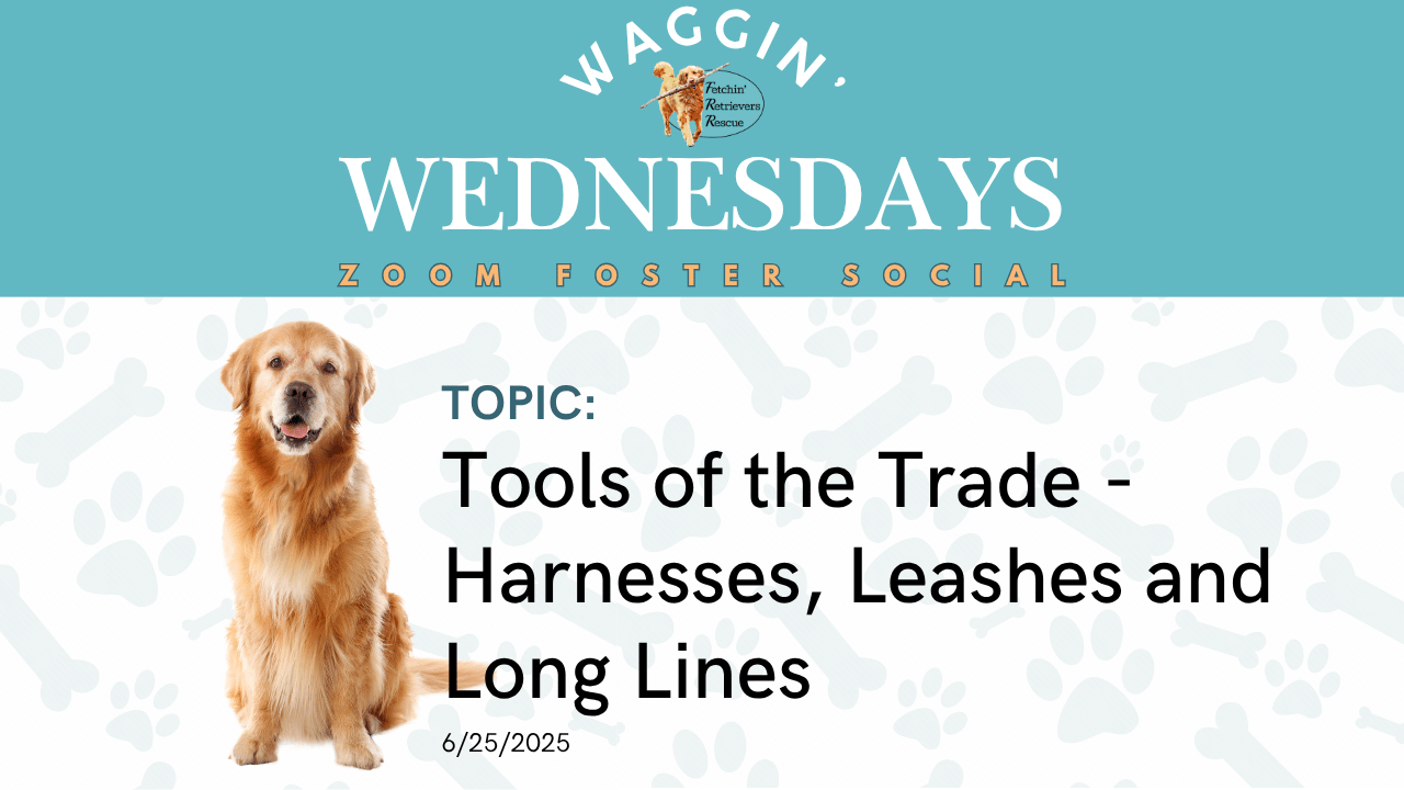 Episode 9: Tools of the Trade - Harnesses, Leashes and Long Lines