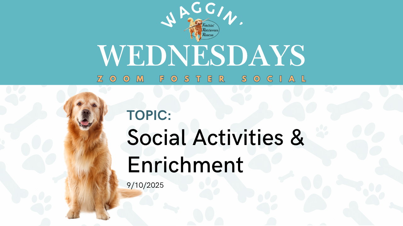 Episode 14: Social Activities & Entrichment