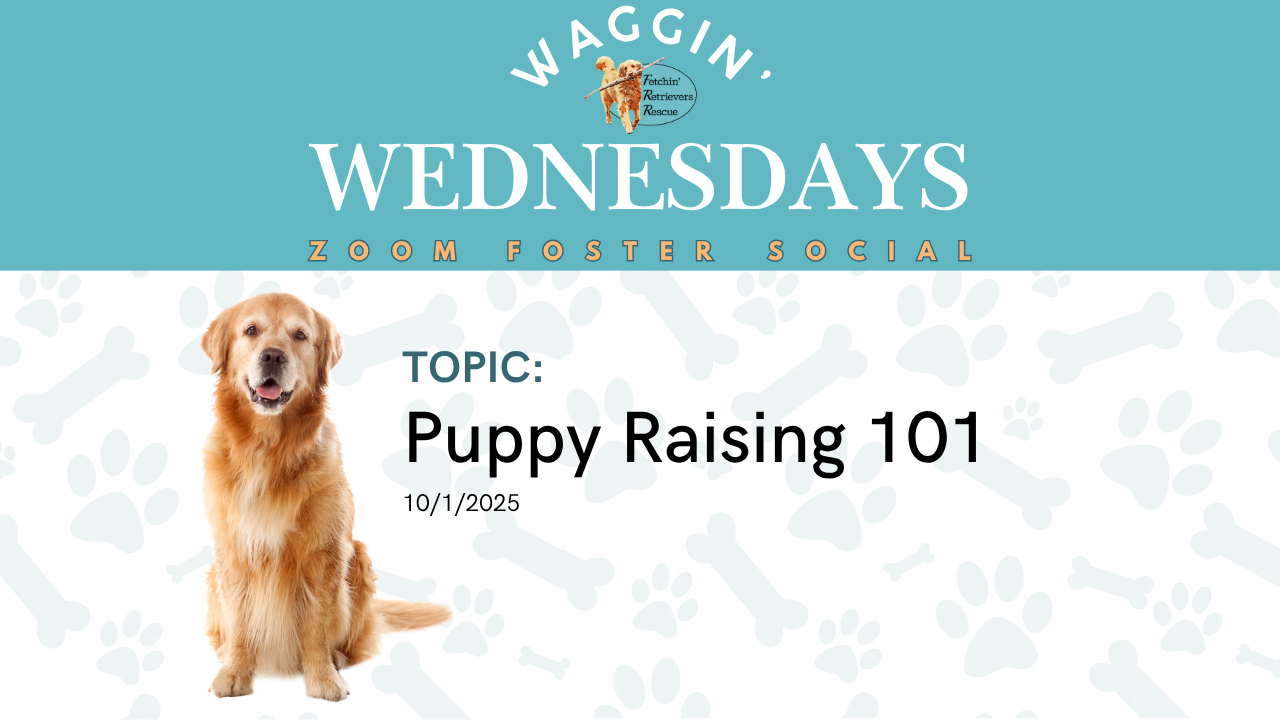 Episode 15: Puppy Raising 101