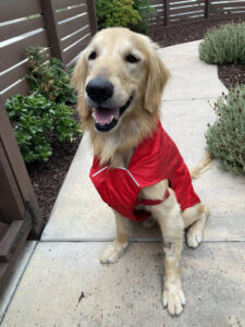 10 1025 Danny Raincost