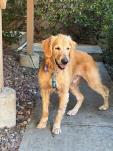 10 31 2025 Danny Head Tufts