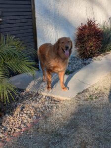 Abbott in front of Gate