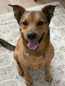 Bennyyy