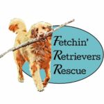 Fetchin' Retrievers Rescue